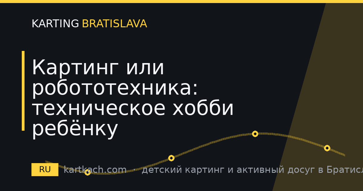 Картинг или робототехника: техническое хобби ребёнку
